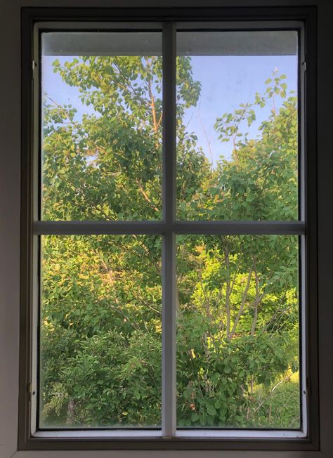 Sunny Window Aesthetic, Pictures Of Windows, Green Morning Aesthetic, Sunny Green Aesthetic, Open Window Aesthetic, Window View Aesthetic, Comp Sci, Aesthetic Window, Window Aesthetic