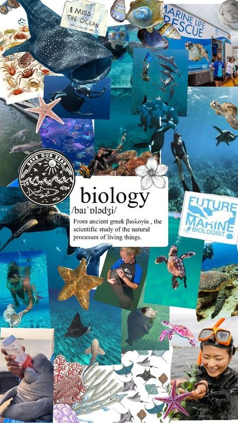 Check out hp830023's Shuffles Marine Biology🌊🐬🐋🪼 #sealife #ocean #marinebiology #wallpaper #seaturtles Peter Walks On Water, Oceanography Marine Biology, Wallpaper Preppy, Biology Major, Ocean Projects, My Future Job, Ocean Aesthetic, Biology Notes, Marine Biologist