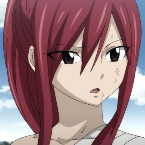 Erza Scarlet Icon, Erza Scarlett, Fairy Tail Erza Scarlet, Fairy Tail Lucy, Fairy Tail Characters, Fairy Tail Art, Erza Scarlet, Fairy Tale Characters, Social Icons