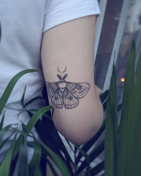 #mothtattoo hashtag on Instagram • Photos and Videos Lunar Moth Tattoo, Tattoo Papillon, Luna Moth Tattoo, Symmetrical Tattoo, Black Line Tattoo, Moth Tattoo Design, Back Of Arm Tattoo, Bug Tattoo, Insect Tattoo