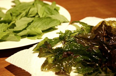 Deep-Fried Basil Leaves | Get the recipe for this vegetarian dish that's suprisingly delicious. #basil #snack #recipe #vegetable #appetizer Fried Basil, Vegetarian Dish, Basil Recipes, Carb Free, Basil Leaves, Online Ordering, Veggie Sides, Fried Food, Vegetarian Dishes