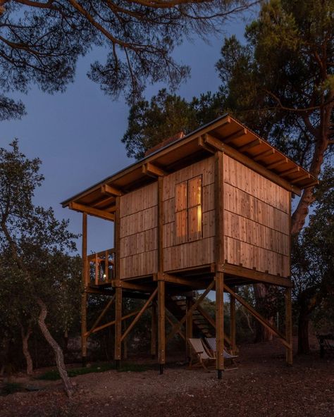 Raised timber cabin comes with its own built-in slide House In Forest, Timber Cabin, Architecture Competition, Barn Houses, Porch Area, Wooden Shutters, Vacation Cabin, Cob House, Composting Toilet