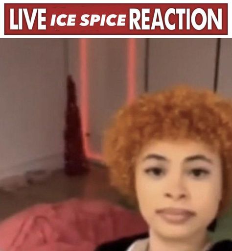 Live Ice Spice Reaction | Ice Spice | Know Your Meme Memes Lol, Ice Spice, Ice And Spice, Female Rappers, American Rappers, Funny Profile Pictures, Funny Reaction Pictures, Know Your Meme, Fav Celebs