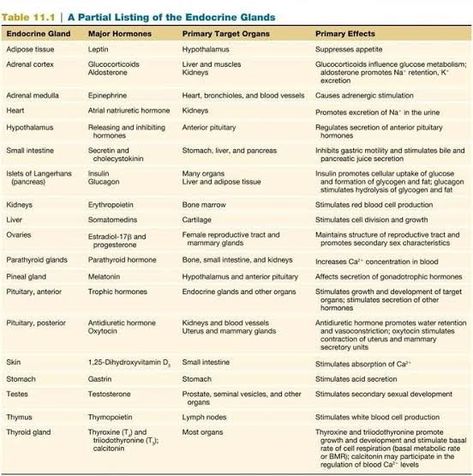 Endocrine System Hormones, Endocrine System Nursing, Endocrine Hormones, Adrenal Medulla, Cranial Nerves Mnemonic, Anterior Pituitary, Adrenal Cortex, Ob Nursing, Pharmacy School