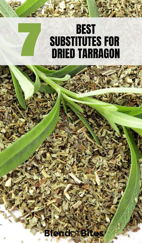 If you are looking for a more subtle taste than fresh tarragon, dried tarragon is the answer. However, dried Tarragon is an herb that is rarely accessible in your local store. Here are a few substitutes for dried tarragon that blend perfectly to offer the desired flavors to your dish. More details at www.blendofbites.com | healthy ingredients