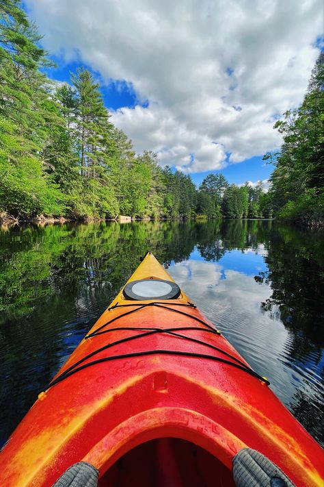 Eliza Core, Kayaking River, Swamp Dragon, Kayaking Aesthetic, Aesthetic Scenery, River Kayaking, Vision 2024, Live Love Life, 2024 Aesthetic