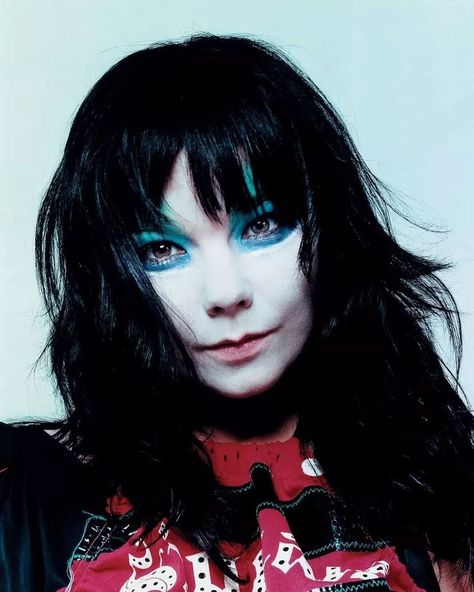 Bjork Makeup, Bjork 90s, David Sims, Blue Eyeshadow, Pierce The Veil, Portrait Inspiration, Interesting Faces, Fan Page, Music Artists