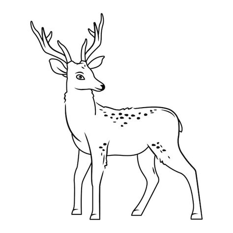 A cute deer stands on a white background... | Premium Vector #Freepik #vector #stag #deer #deer-antlers #buck Colouring Worksheet, Deer Outline, Cute Forest Animals, Deer Stands, Deer Vector, Deer Drawing, Cute Forest, Outline Images, Stag Deer