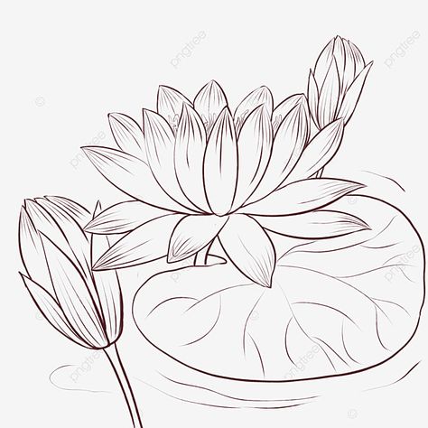 Lotus Clipart Black And White, Lotus Art Design, Lotus Drawing Simple, Lotus Paintings, White Png Transparent, Rangoli Drawing, Lotus Flower Drawing, Lotus Drawing, Angel Sketch