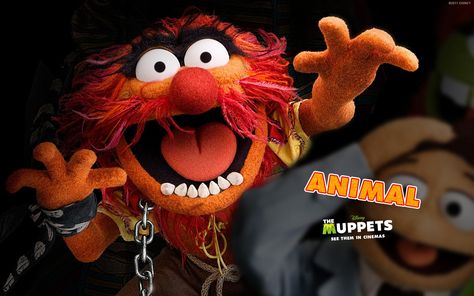 Animal, The Muppets Wallpaper Muppets Wallpaper, Animal Muppets, Muppets Animal, Animal Muppet, The Muppets, Orange