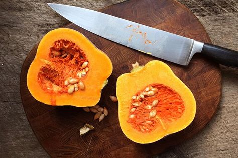 Meet the New Squash In Town: Robin's Koginut | Martha's Vineyard Magazine Pressure Cooker Easy Recipes, Freezing Butternut Squash, Freezing Spaghetti Squash, Freezing Squash, Butternut Squash Baby Food, Instant Pot Butternut Squash Soup, Fun Dessert Recipes, Healthy Recipes For Lunch, Instant Pot Butternut Squash