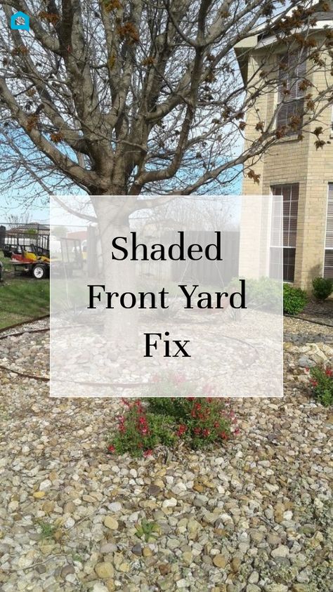 Under Shade Tree Landscaping, Landscaping Ideas For Areas Where Grass Wont Grow, Ideas For Areas Where Grass Wont Grow, Yard Ideas Where Grass Wont Grow, Grass Wont Grow Ideas, Front Yards Without Grass Ideas, Grassless Landscaping, No Grass Front Yard, Backyard Sandbox