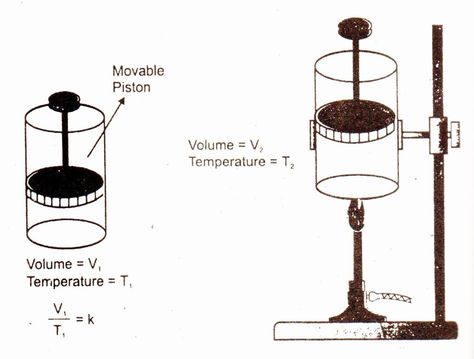 Boyles Law Chemistry, Charles Law Chemistry, First Law Of Thermodynamics, Charles Law, Law Of Thermodynamics, Environmental Chemistry, Differential Equations Formula, Physical Chemistry, Petri Dish