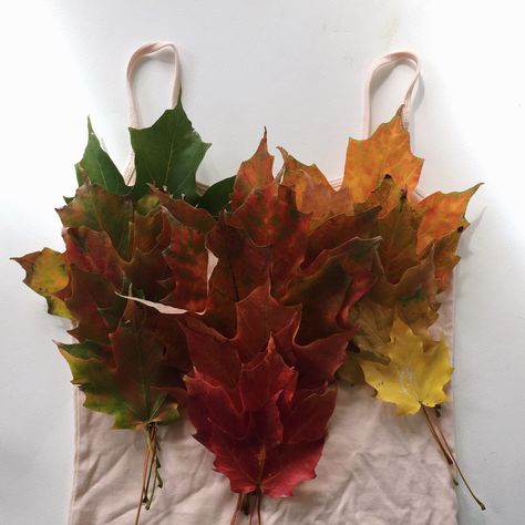 Make Your Own Mother Nature Leaf Dress: A Compostable Zero Waste Costume - Hippie in Disguise Mother Nature Costume Diy, Mother Nature Costume Halloween, Mother Nature Halloween, Nature Costume, Woodland Fairy Costume, Witch Costume Diy, Composting Ideas, Mother Nature Costume, Simple Halloween Costume