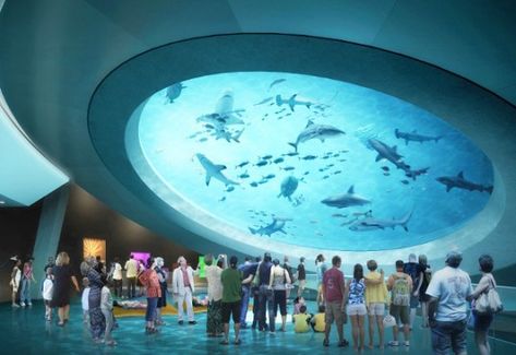 Miami's New Science Museum to Feature an Incredible 500,000 Gallon Gulf Stream Aquarium Miami Attractions, Science Gallery, Museum Of Science, Downtown Miami, Museum Architecture, Science Museum, Science Center, American Airlines, Digital Signage