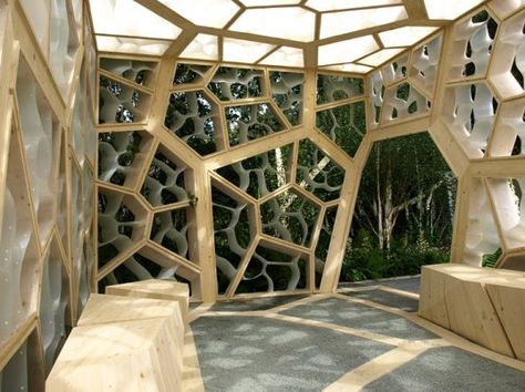 Times Eureka Pavilion at the Chelsea Flower Shower takes inspiration from a leaf's structure Tree Column, Biomimicry Architecture, Architecture Cool, Pavilion Architecture, Pavilion Design, Garden Pavilion, Parametric Architecture, Wooden Structure, Renzo Piano