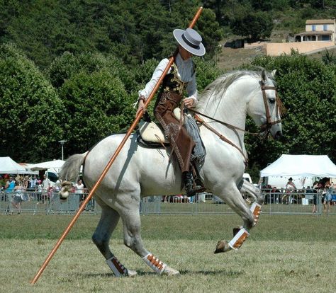 Garrocha Horse Riding | 1000+ images about La Garrocha on Pinterest | Cattle, Horse and rider ... Working Equitation, Rare Horses, Horse Riding Clothes, Andalusian Horse, White Horses, Horse Training, Pretty Horses, Horse Photography, Horse Pictures