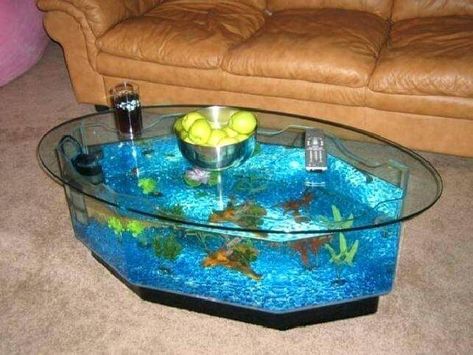 Coffee Table Fish Tank, Table Fish Tank, Fish Tank Coffee Table, Coffee Table Design Ideas, Aquarium Coffee Table, Types Of Coffee Tables, Creative Coffee Table, Table Design Ideas, Amazing Aquariums