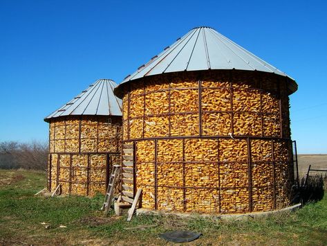 Corn Cribs. Unshelled corn harvest, stored in wire bins , #Sponsored, #Unshelled, #corn, #Corn, #Cribs, #wire #ad Street Beautification, Corn Festival, Corn Harvest, Landscape References, Grain Bins, Corn Grain, Corn Crib, Crib Design, Wire Bins