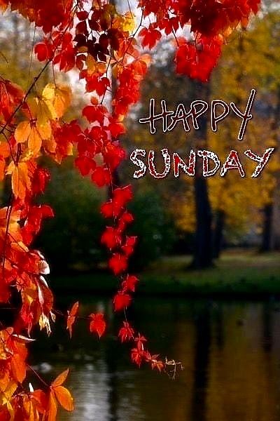 Happy Sunday Autumn, Sunday Fall, New Adventure Quotes, Autumn Images, Good Morning Sunday Images, Happy Sunday Morning, Sunday Greetings, Sunday Images, Quotes Adventure