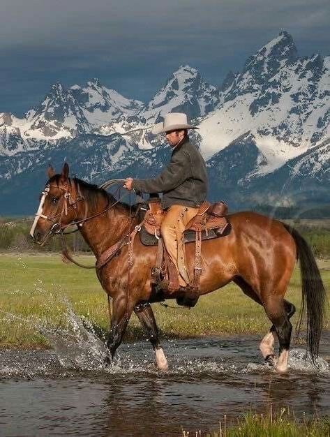 Horse Portrait Photography, Mode Country, Cowboy Photography, Cowboy Pictures, Real Cowboys, Western Photography, Horse Anatomy, Wilde Westen, Photography Shoot