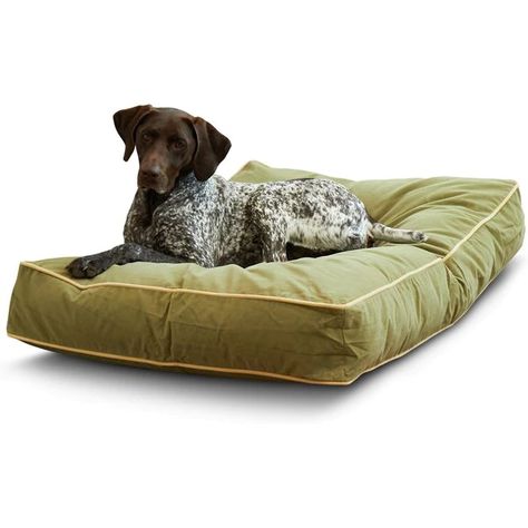 HAPPY HOUNDS Bailey Rectangle Pillow Dog Bed with Removable Cover, Moss, Medium - Chewy.com Pillow Dog Bed, Medium Dog Bed, Donut Dog Bed, Style Bed, Dog Pillow Bed, Orthopedic Dog Bed, Rectangle Pillow, Dog Bed Large, Pillow Styling