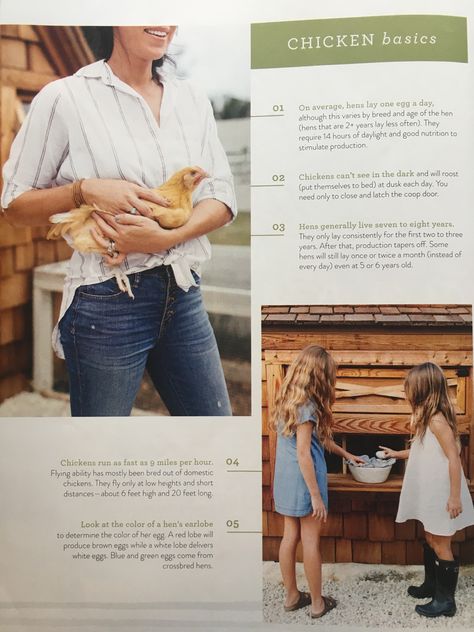 Joanna Gaines Chicken Coop, Magnolia Journal, Joanna Gaines Style, Backyard Flocks, Keeping Chickens, Chicken Runs, Raising Chickens, Fresh Eggs, Joanna Gaines