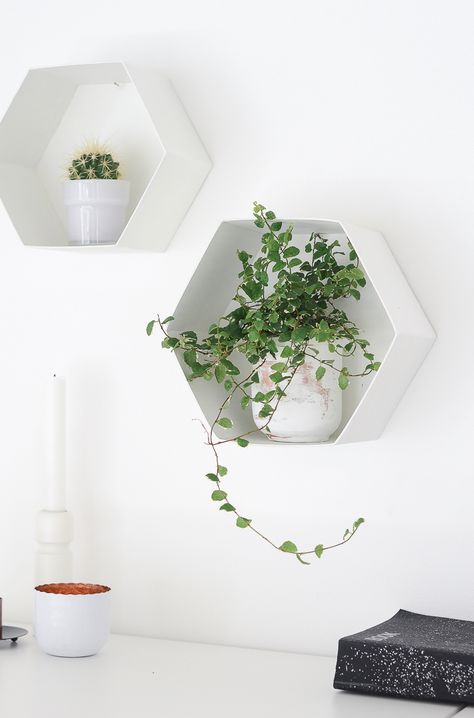 Wall Hexagon Plant Shelves Hexagon Wall Shelves, Hexagonal Shelves, Hexagon Diy, Hexagon Wall Shelf, Hexagon Shelf, Hexagon Wall, Diy Nursery Decor, Summer Diy Projects, Plant Room