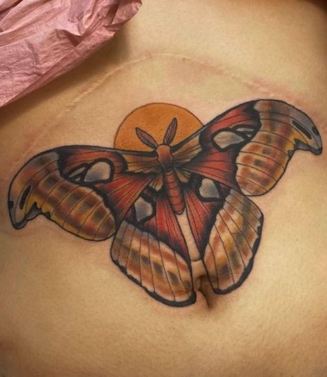 Atlas Moth Tattoo, Moth Tattoo Meaning, Traditional Moth Tattoo, Moth Tattoos, Bug House, Atlas Tattoo, Moth Tattoo Design, Art Nouveau Tattoo, Colorful Moths