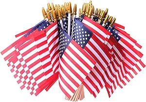 Fourth Of July Decorations Outdoor, Small American Flags, Fourth Of July Decorations, American Flag Decor, Us Flags, American Flag Wood, Mini Flags, American Flags, Patriotic Party