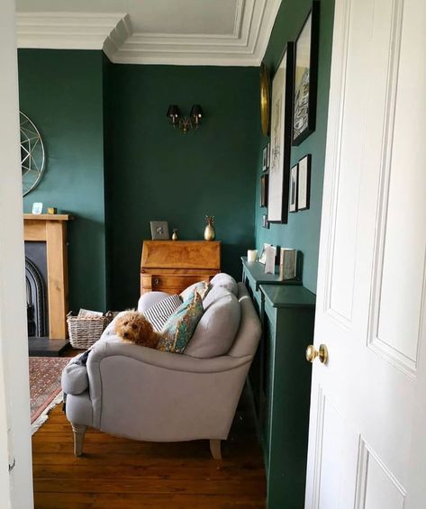 Valspar Devon green Dark Green Living Room, Sipping Coffee, Salon Art, Hearth Room, Living Room Goals, Green Walls, Cottage Interiors, Classic Sofa, Living Room Green