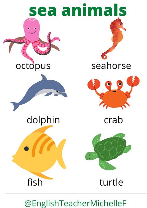 Some English vocabular words for animals that live in the sea, including pictures. Includes the words: fish, crab, turtle, octopus, seashorse and dolphin. Sea Animals Pictures, Alphabet Flash Cards Printable, Animal Pictures For Kids, Free Printable Alphabet Worksheets, Shape Coloring Pages, Hand Art Kids, Homeschool Preschool Activities, Kindergarten Reading Worksheets, English Activities For Kids