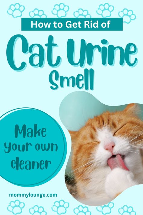 DIY Cat Urine Cleaner: Homemade Enzyme Cleaners Cat Pee Smell Removal, Remove Cat Urine Smell, Cat Urine Remover, Cat Pee Smell, Smell Remover, Cat Urine Smells, Pee Smell, Enzyme Cleaner, Urine Odor