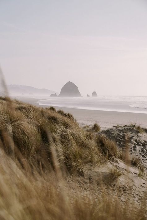 30+ photos to inspire you to visit Oregon's incredible central coast. From Tillamook to Cannon beach, there are incredible places to see. Oregon Cannon Beach, Oregon Coast Wallpaper, Pnw Beach Aesthetic, Cannon Beach Aesthetic, Oregon Coast Roadtrip, Oregon Aesthetic, Tillamook Oregon, Oregon Nature, Sea And Beach