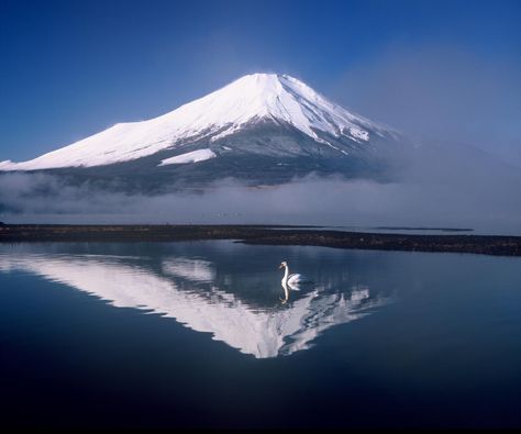 Visit Lake Yamanaka Area　-Official Yamanakako Villege Travel Guide- Lake Yamanaka, Japan Autumn, Yamanashi, Hotel Reservations, Travel Info, Mount Rainier, Places To See, Travel Guide, Things To Do