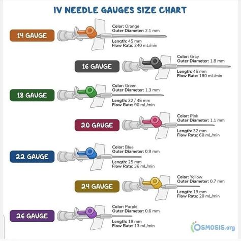 Needle Gauge Size Chart Nursing, Gauge Size Chart, Nursing Knowledge, Gauges Size Chart, Bsc Nursing, Chemistry Study Guide, Nursing School Essential, Ear Piercings Chart, Piercing Chart