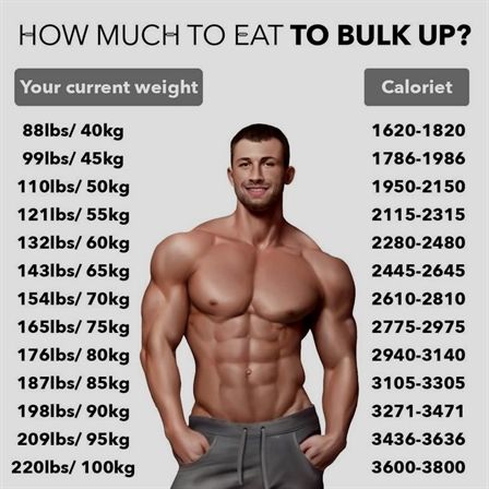 How To Bulk Up Men, Fit Diet Plan, Bulk Diet, Muscle Gain Workout, Calisthenics Workout Plan, Gym Workout Guide, Latihan Dada, Workout Program Gym, Gym Workout Planner