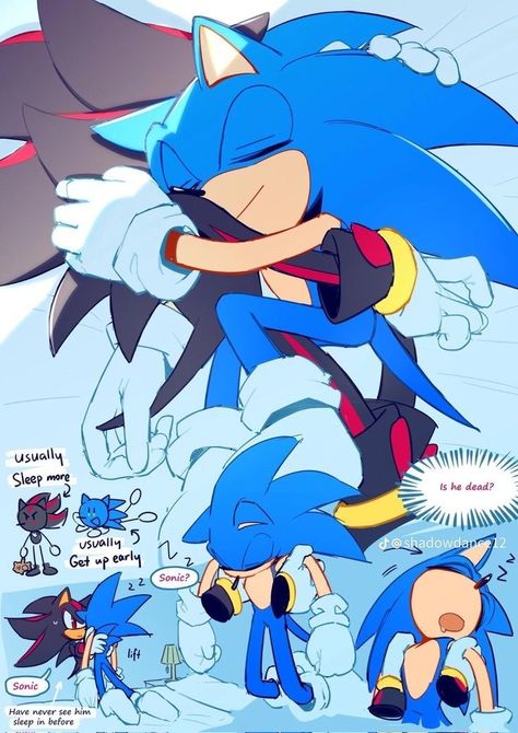 Sonic And His Friends, Sonic X Shadow Fanart, Bro What, Shadow Sonic, Sonic Heroes, Sonic Funny, Sonic 3, Blue Hedgehog, X Twitter