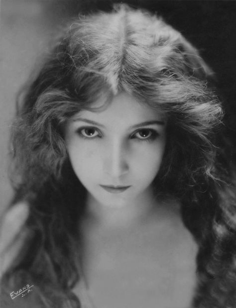 Diva Chic, Little Edie, Bessie Love, Lillian Gish, Profile Images, First Cars, Silent Film Stars, Projection Screen, Silent Movie