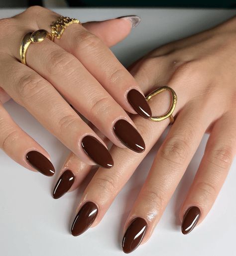 Chocolate Brown Manicure Brown Acrylic Nails, Navy Nails, Kutek Disney, Brown Nails Design, Fall Nail Trends, Nail Colors Winter, Burgundy Nails, Dark Nails, Brown Nails