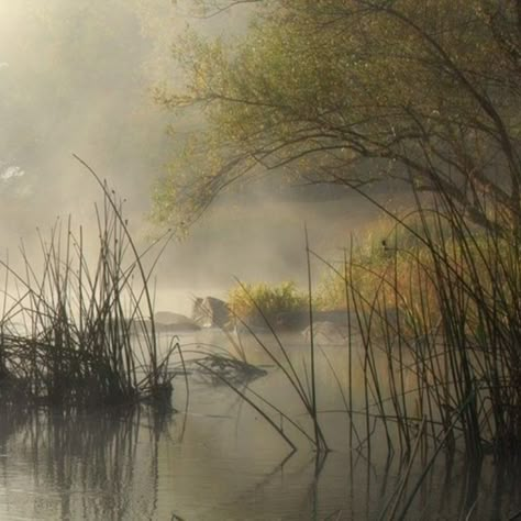 Landscapes For Painting, Witch Of Blackbird Pond, Soyut Sanat Tabloları, Landscape Art Painting, Fantasy Places, Landscape Scenery, Vintage Landscape, Environment Concept Art, Oil Painting Landscape