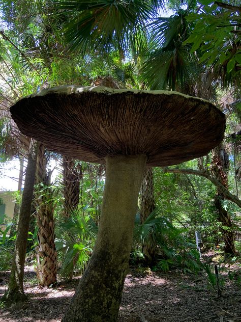 Mushroom Garden Aesthetic, Witchy Garden Aesthetic, Giant Aesthetic, Tall Mushrooms, Aesthetic Jungle, Backyard Aesthetic, Wallpaper Plant, Jungle Aesthetic, Stone Forest