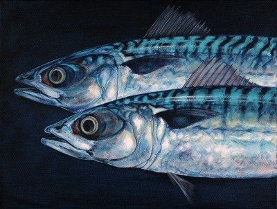 Atlantic Mackerel, Mackerel Fish, Sea Creatures Art, Fly Fishing Art, Fish Artwork, Jellyfish Art, Umbrella Art, Fish Drawings, Round Art