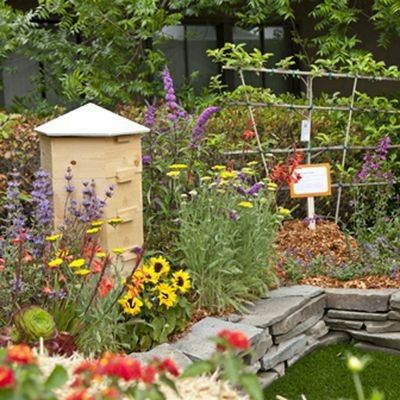 Honey Bee Setup, Backyard Beekeeping Setup, Bee Yard Design, Bee Hive Garden, Apiary Garden, Bee Hive House, Beehive Garden, Apiary Design, Bee Hive Design