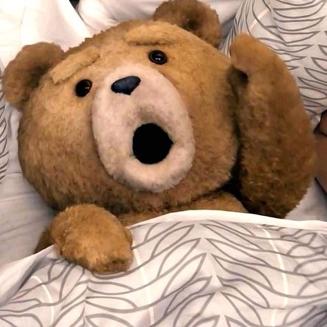 Ted!( : Ted Bear Funny, Thunder Buddy, Ted Movie, Ted Bear, The Creeper, Teddy Bear Pictures, Monkeys Funny, Funny Wallpaper, Superhero Movies