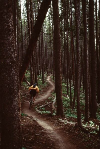 Think North Trail In The Woods, Mtb Trails, Riding A Bike, Mountain Bike Trails, Trail Riding, Extreme Sports, Bike Trails, Outdoor Fun, In The Woods