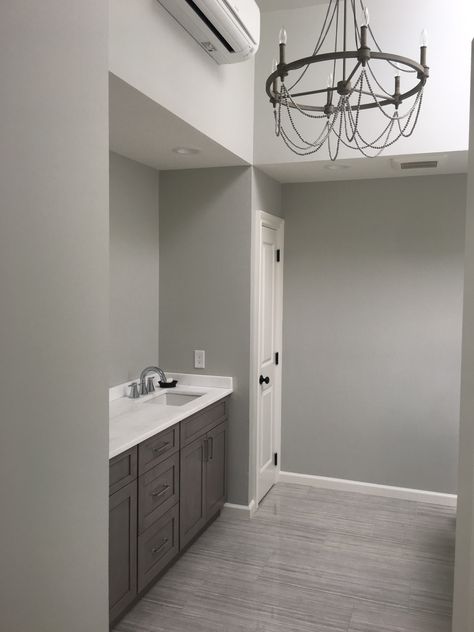 Silver Grey Wall Paint, Hall Bathroom Paint Colors, Gray Owl Bathroom, Grey Owl Benjamin Moore, Gray Owl Benjamin Moore, Benjamin Moore Gray Owl, Silver Grey Paint, Benjamin Moore Bathroom, Owl Bathroom