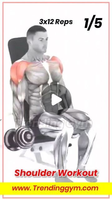 TrendingGym on Instagram: "Shoulder Workout Routine 🔥 Follow Us: @trendinggym Also Follow Us On YouTube Channel (Trending Gym)  🔗 Link in bio" Killer Shoulder Workout, Shoulder Workout Routine, Shoulders Workout, Workout Without Gym, Shoulder Workout, Workout Routine, Gym Workouts, Youtube Channel, Follow Us