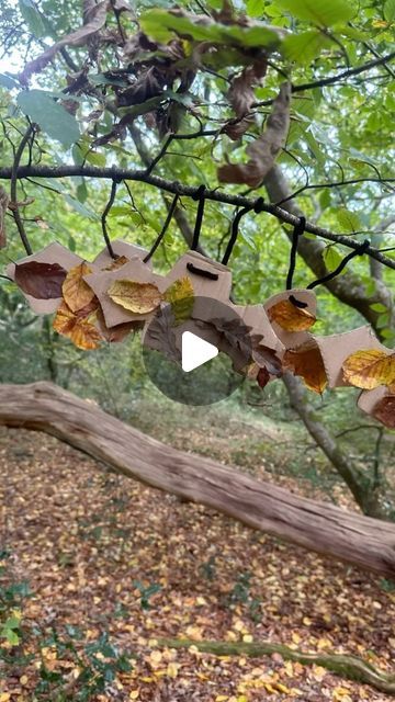 Sam Goldsworthy on Instagram: "🍂🦇 NATURE BATS 🦇 🍂

At Forest School today we collected autumn leaves to make our own nature bats. The children have loved anything spooky recently so this was perfect 

We talked about them being nocturnal and how they sleep upside down! 

A great way to inspire creativity using the nature around us 

Inspired by our 100 Forest School Activities by @button_books 

#samgoldsworthychildmindingplayideas #handsonlearning #earlyyearsideas #outdoorclassroom #childhoodunplugged #forestschoolideas #forestschool #forestschoolactivities #natureplayalong #natureplay" Rainy Day Forest School Activities, Forest School Activities Eyfs, Childminding Ideas, Forest School Activities, Outdoor Classroom, Forest School, Nature Play, Inspire Creativity, Hands On Learning