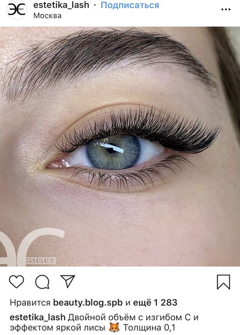 Laminated Lashes, Eyeliner Lashes, Lash Extentions, Subtle Cat Eye, Lashes Fake Eyelashes, Beautiful Eyes Color, Lash Extensions Styles, Eyelash Extensions Styles, Perfect Eyelashes